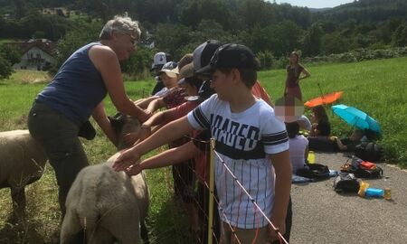 Essenspause während andere Schüler Schafe streicheln, die Lehrerin hält ein Schaf fest am Kopf.
