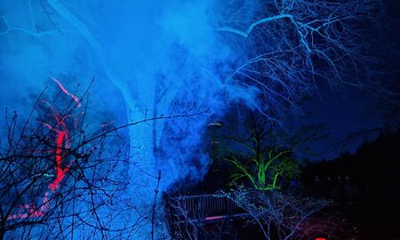 Vernebelter und beleuchteter Baum