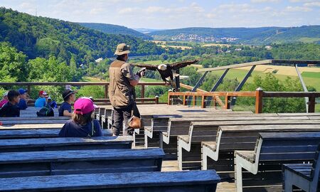 Schülerinnen und Schüler sitzen auf Holzbänken und schauen einem Trainer mit einem fliegenden Greifvogel zu