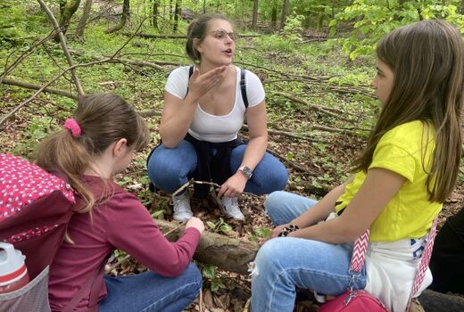 Holzarbeiten_im_Wald