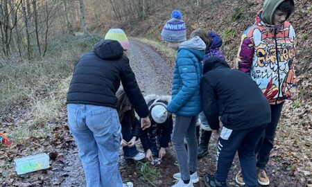 Jugendliche bei einer Schnipseljagd-Station im Wald