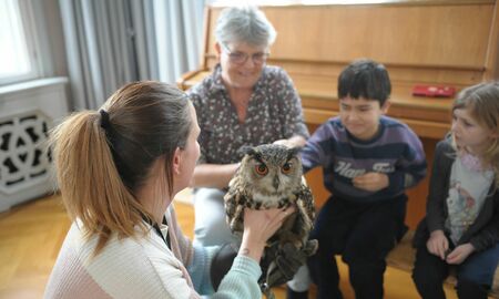 Kinder dürfen den Uhu streicheln