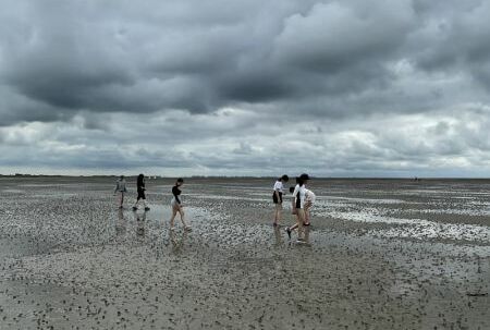Sechs Personen laufen kreuz und quer durch das Watt, dabei blicken sie suchend zu Boden.