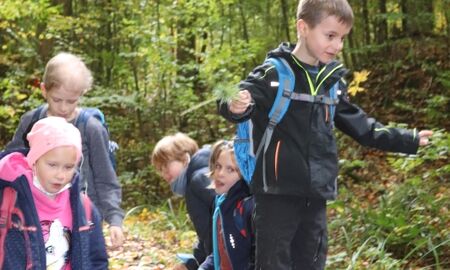 Ein Kind balanciert auf einem Baumstamm und vier Kinder stehen an