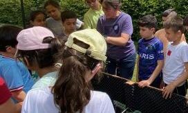 Kinder stehen um ein Hochbeet herum und hören zu
