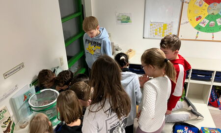 Viele Kinder stehen in einem Klassenzimmer um ein Netz mit Schmetterlingen herum