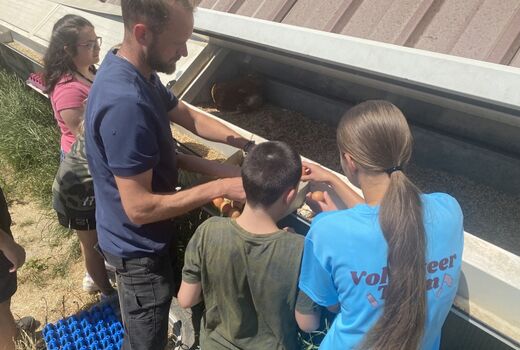 Das Legenest der Hühner ist geöffnet. Davor stehen vier Kinder und ein Mann. Sie holen die Eier aus dem Kasten.