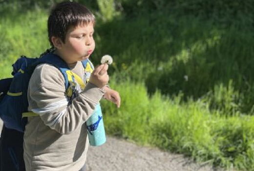 Junge mit Pusteblume