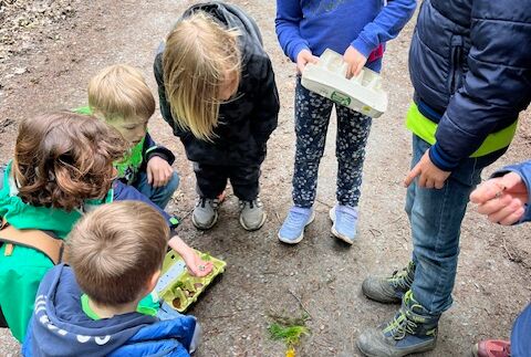 Kinder legen ein Naturmaterialdomino