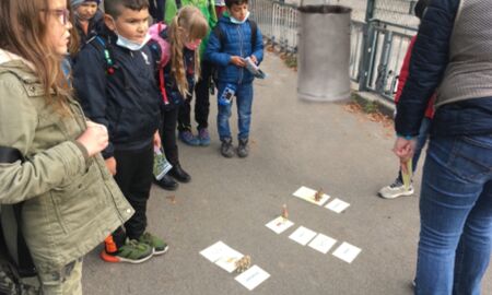 Kinder stehen mit Zoorangerin um ein Schaubild über Kamele