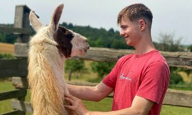 Ein tolles Team mit Lama Max