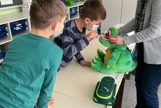 Zwei Schüler putzen einem Plüschkrokodil die Zähne mit Unterstützung der Dentalexpertin die Zähne.