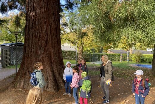 Gemeinsames Ankommen der Kinder unter dem Mammutbaum