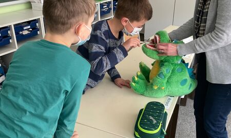 Zwei Schüler putzen einem Plüschkrokodil die Zähne mit Unterstützung der Dentalexpertin die Zähne.