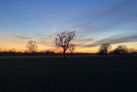 Sonnenuntergang bei einer unbeschneiten Winterlandschaft