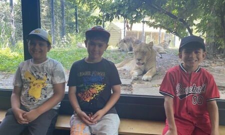 Drei Jungen mit der Löwin hinter Glas