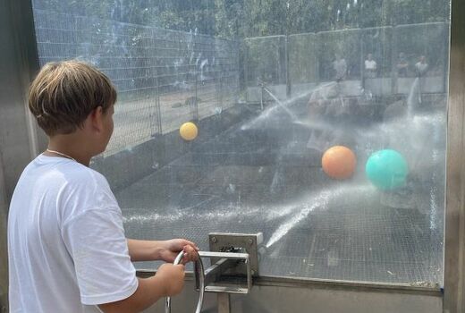 Ein Junge zielt mit einer Wasserkanone auf Bälle.