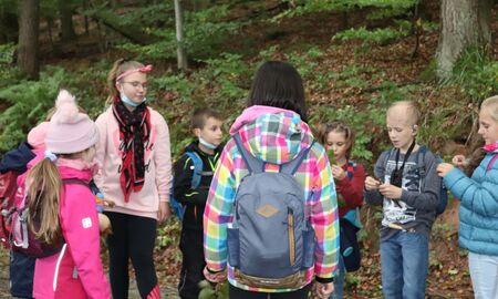 Acht Kinder Stehen im Wald und schauen sich Blätter an