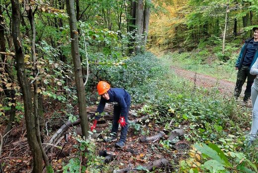 Schülerinnen und Schüler wollen einen Baum fällen