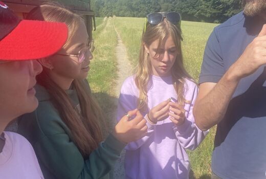 Drei Kinder haben etwas Grünes in den Händen und betrachten es.