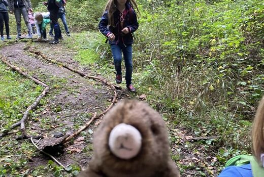 Mauli, der Maulwurf, ein Plüschtier, ist gespannt wie die selbstgebaute Waldkugelbahn funktioniert