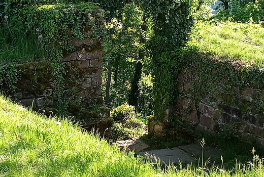 Die Burg Reichenstein