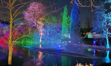 Beleuchtete Bäume und See mit Lichteffekten