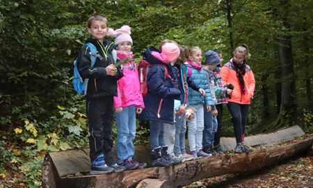 Neun Kinder stehen in der Reihe auf dem Baumstamm