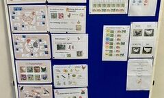 Infotafel mit Hühnerfakten