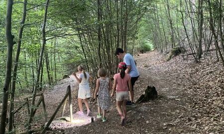 Kinder spazieren im Wald