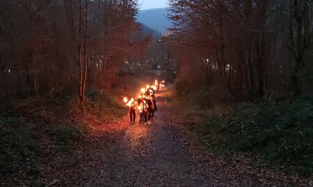 Zu sehen sind SchülerInnen und PädagogInnen die mit Fackeln durch den Wald spazieren.