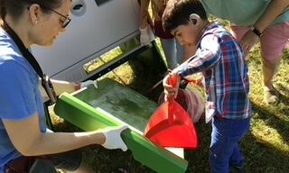 Schüler säubern den Hühnerstall