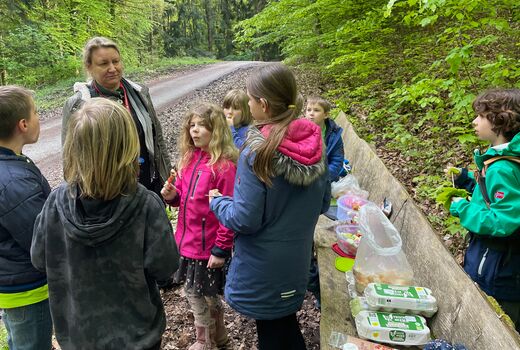Picknick im Wald